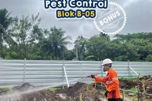 Pest Control Anti Rayap Pra Konstruksi